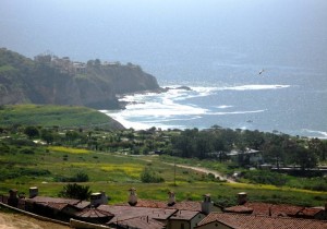 Artificial Turf Newport Coast